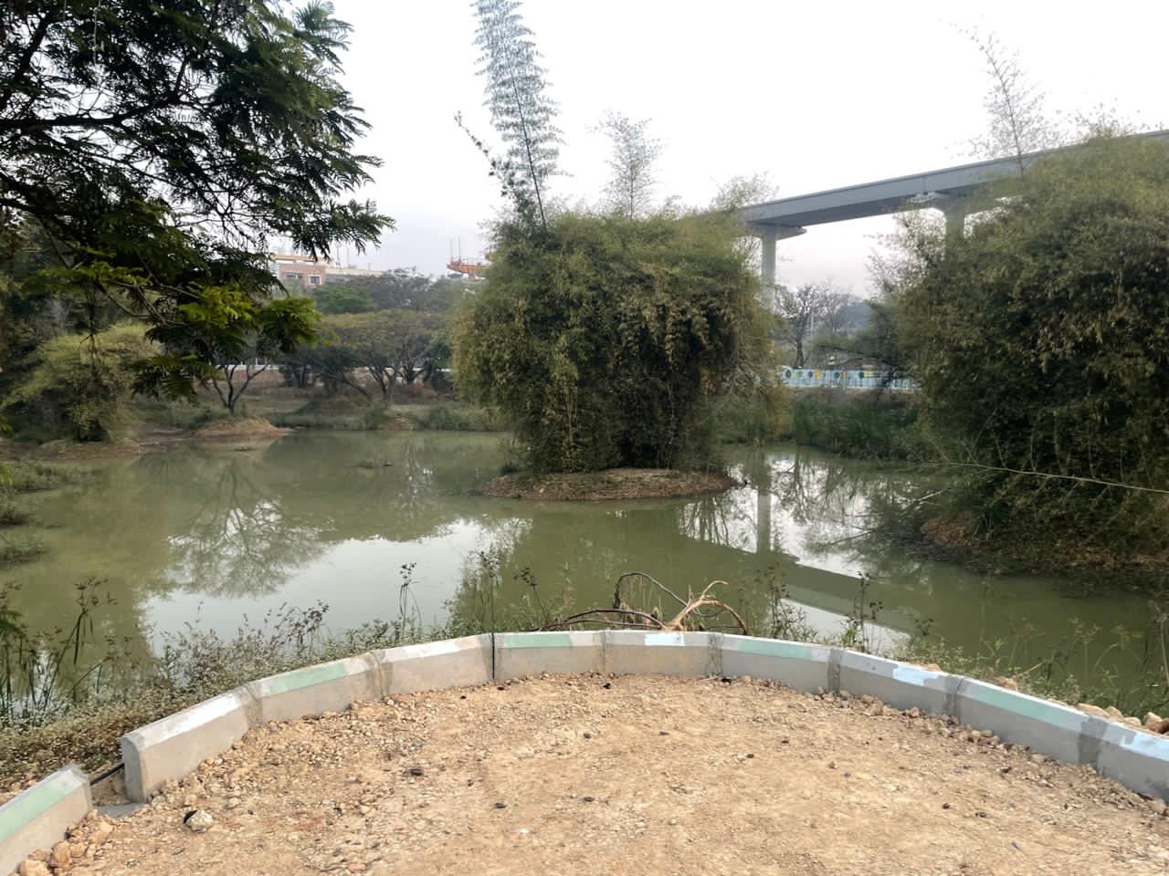 Lake view 13