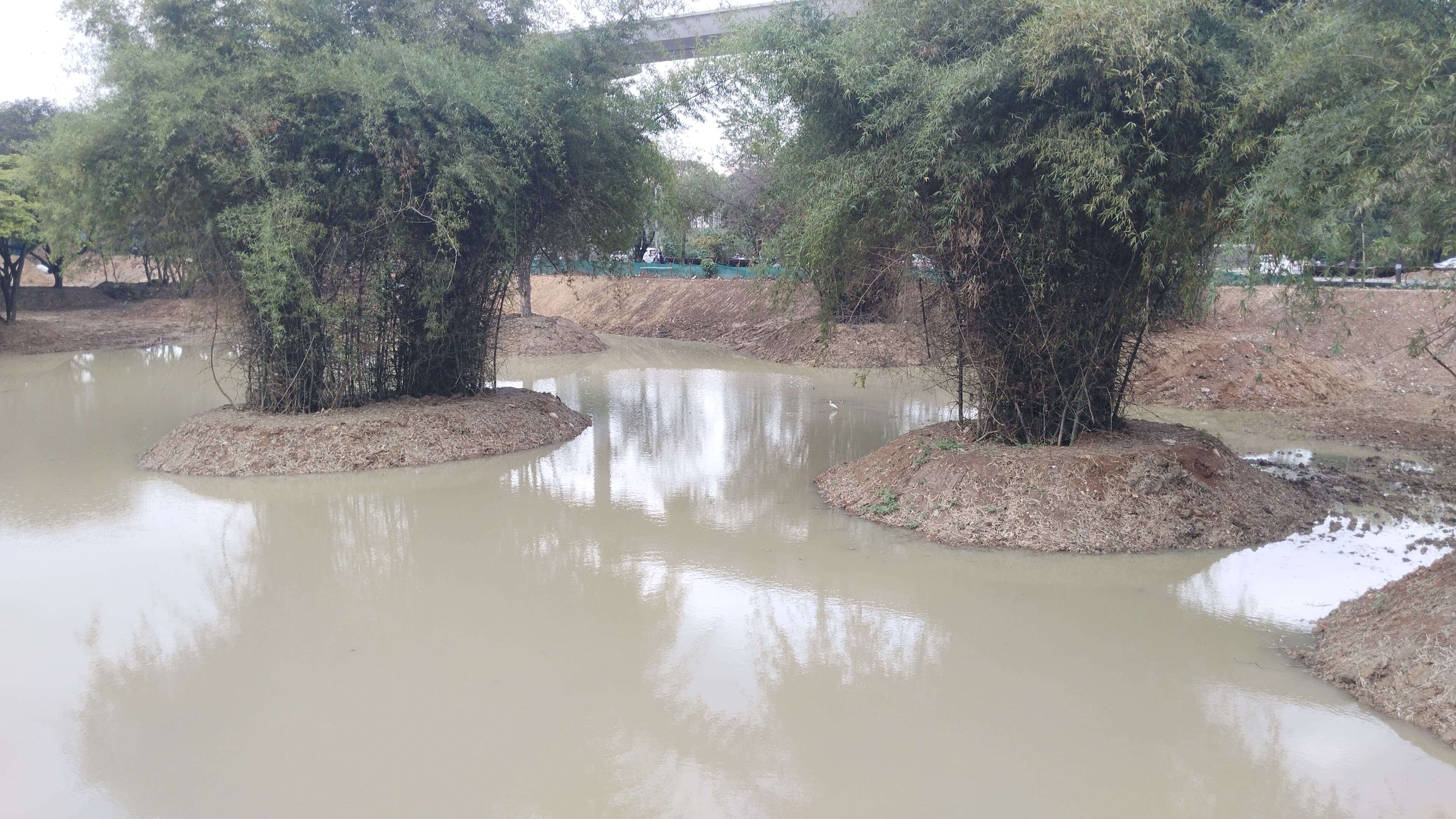 Lake view 2