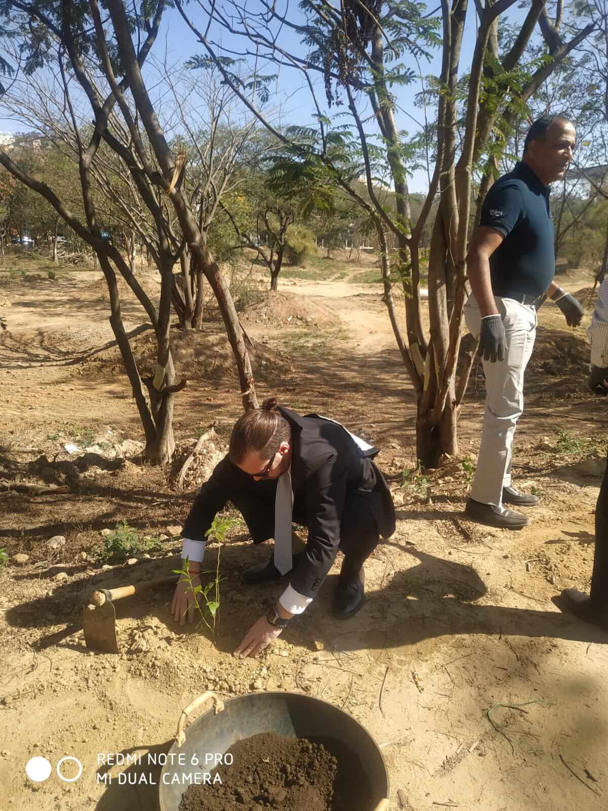 Tree plantation 1