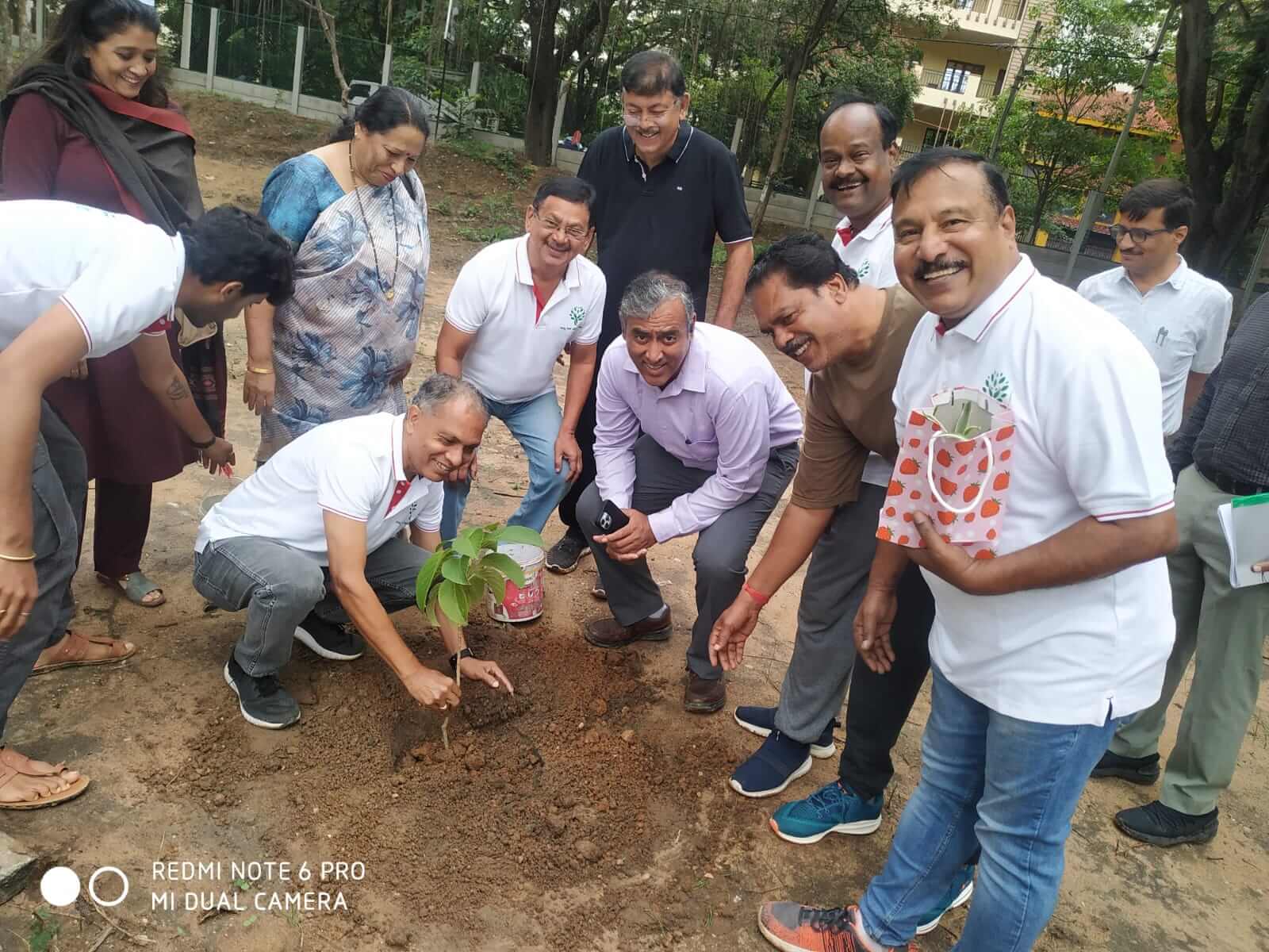 Tree plantation 14