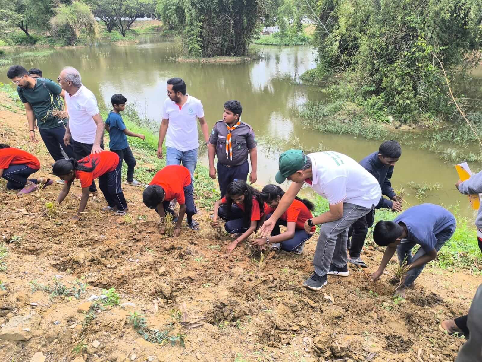 Tree plantation 15