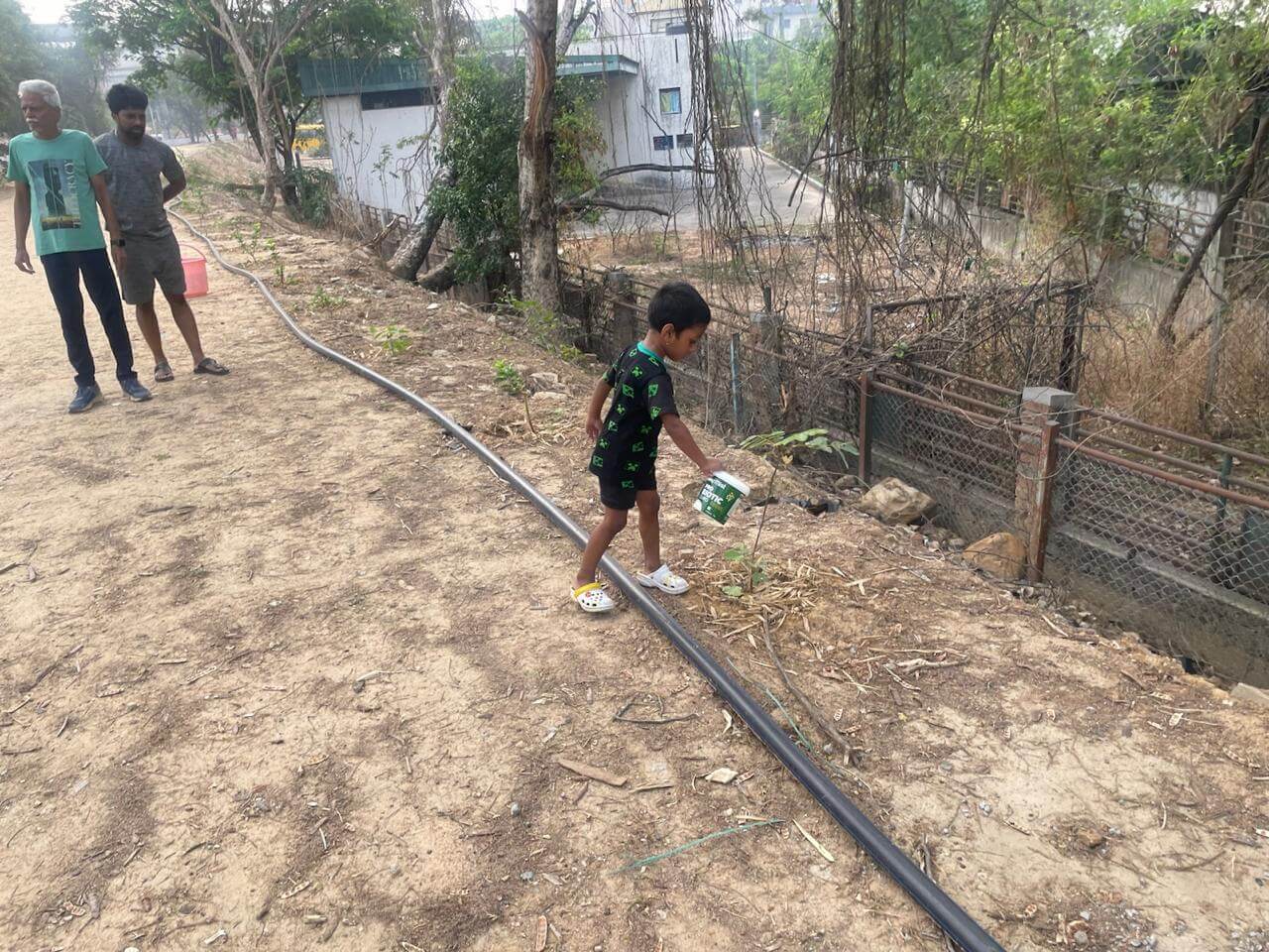 Tree plantation 7