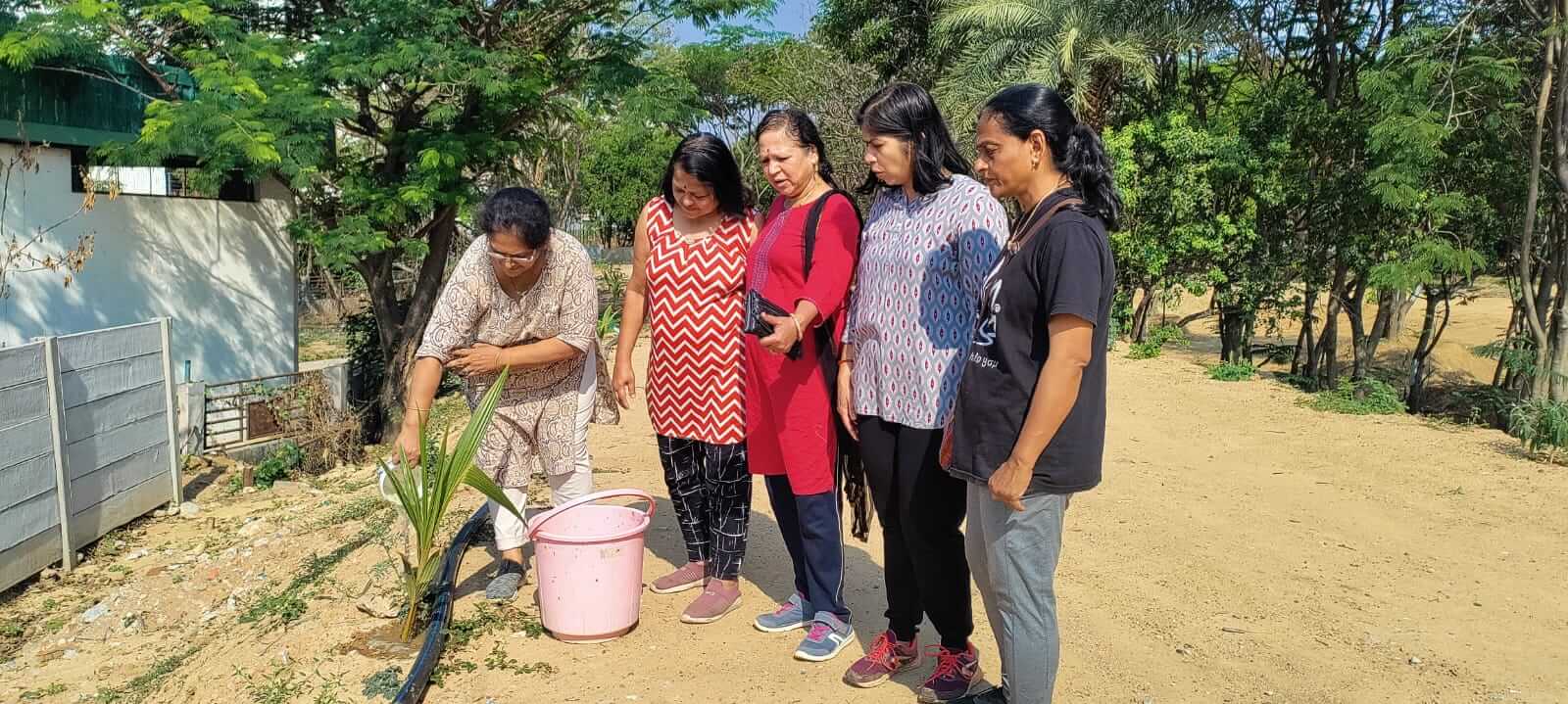 Tree plantation 8